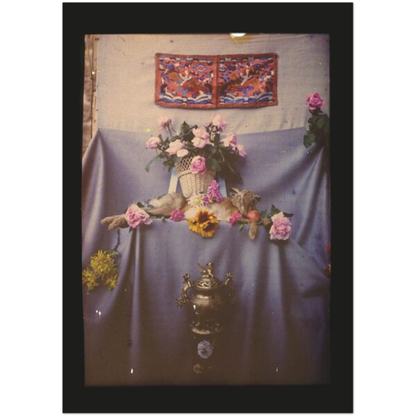 b7cf50db-7974-4675-85fa-225603f63c21