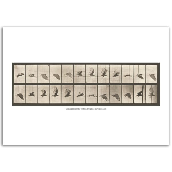 00fb6786-6b98-4b4d-b8a1-6b5d628dff50