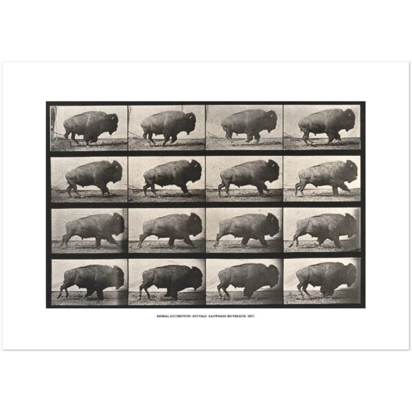 28245669-7cf2-477e-8ddd-69132a040491