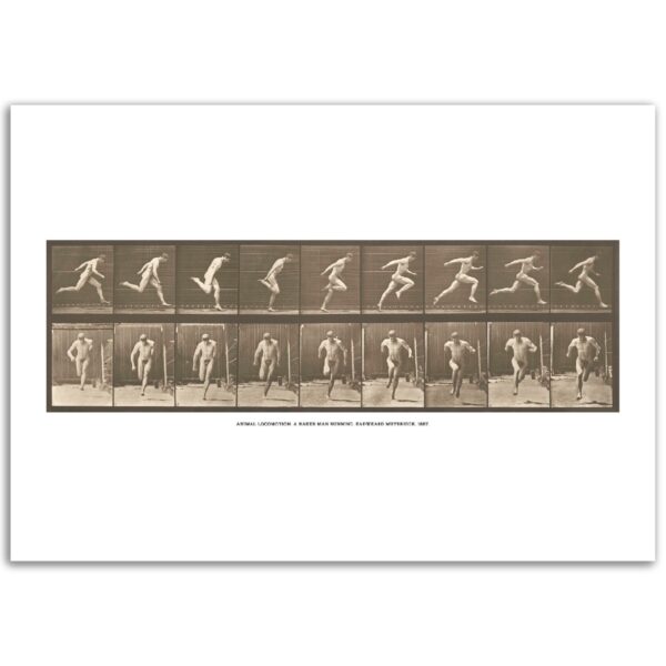 6460560c-2f64-406f-9dc5-660567f96014