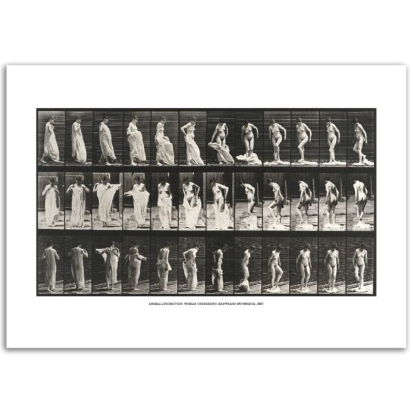 9b60cf34-5b02-429c-8678-3f35f1a6fedb