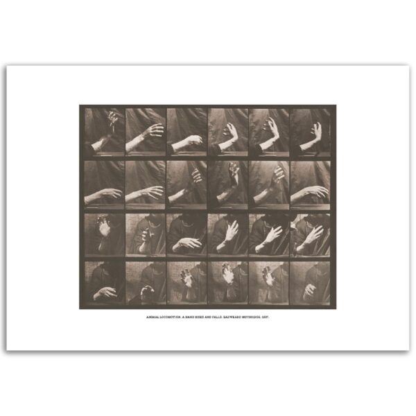 a3284ffa-d891-453b-8e84-fbda823ad244