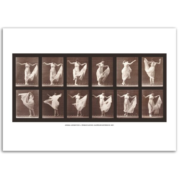 c29ab372-86ee-4599-bf80-8234fd818eb9