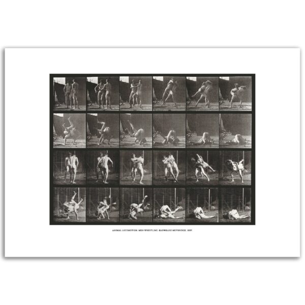 cffa83be-b32b-4868-944d-4070caa04190