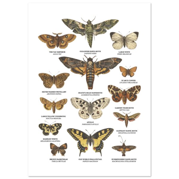 e66958be-f53a-4103-a69c-4a768d6d5754