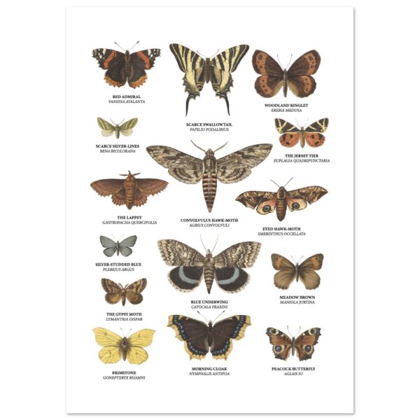 f4de5ef0-a125-483b-8d9d-cfd9d05f4f07